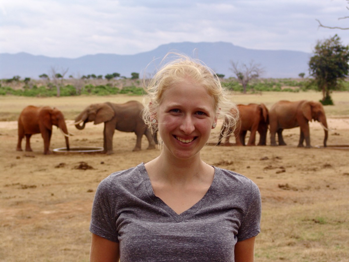 Kenia: Ein Reisebericht über das Land von Hakuna&nbsp;Matata
