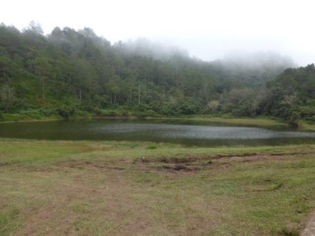 Lake Danum.jpg
