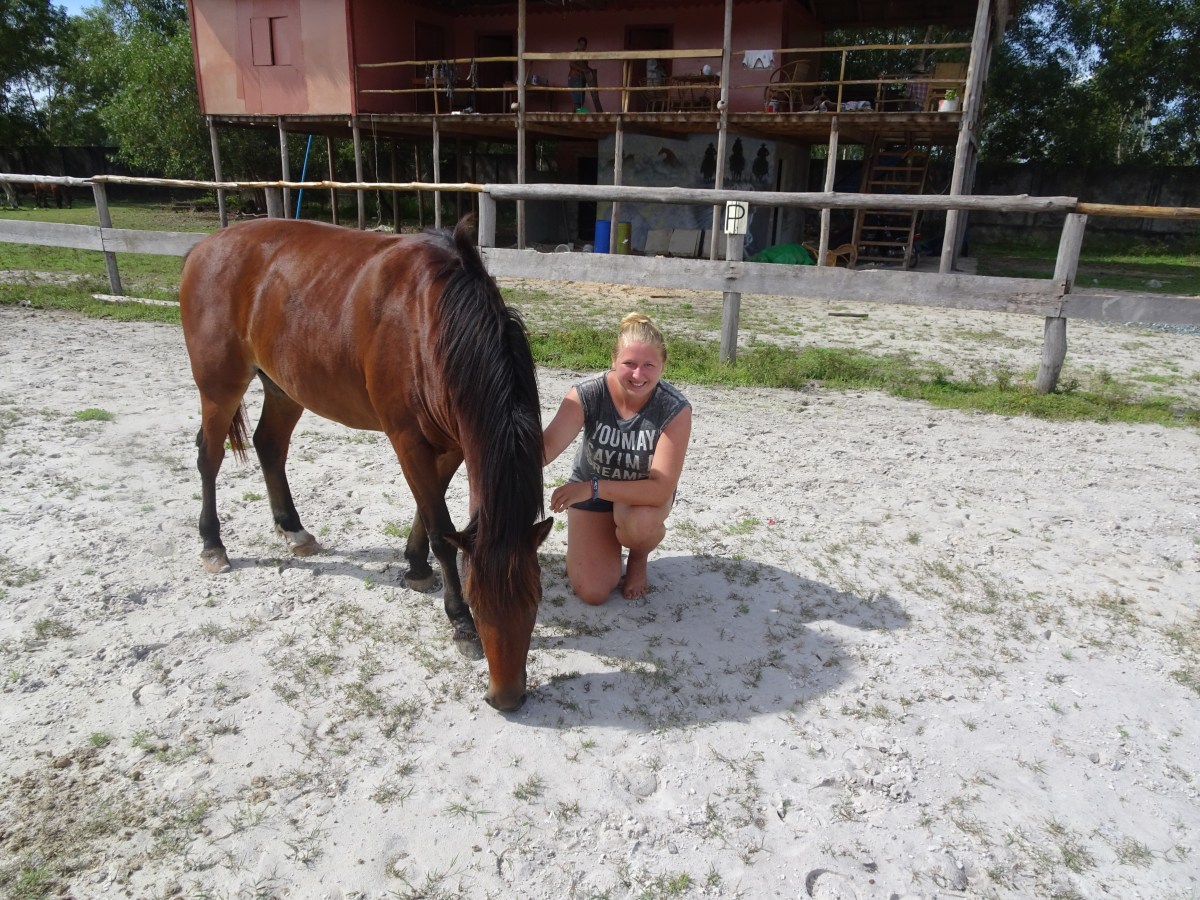 Arbeiten auf der kambodschanischen Liberty&nbsp;Pferderanch