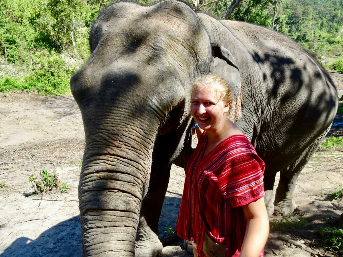 Auf den Spuren von Colonel Hathi im&nbsp;Dschungel