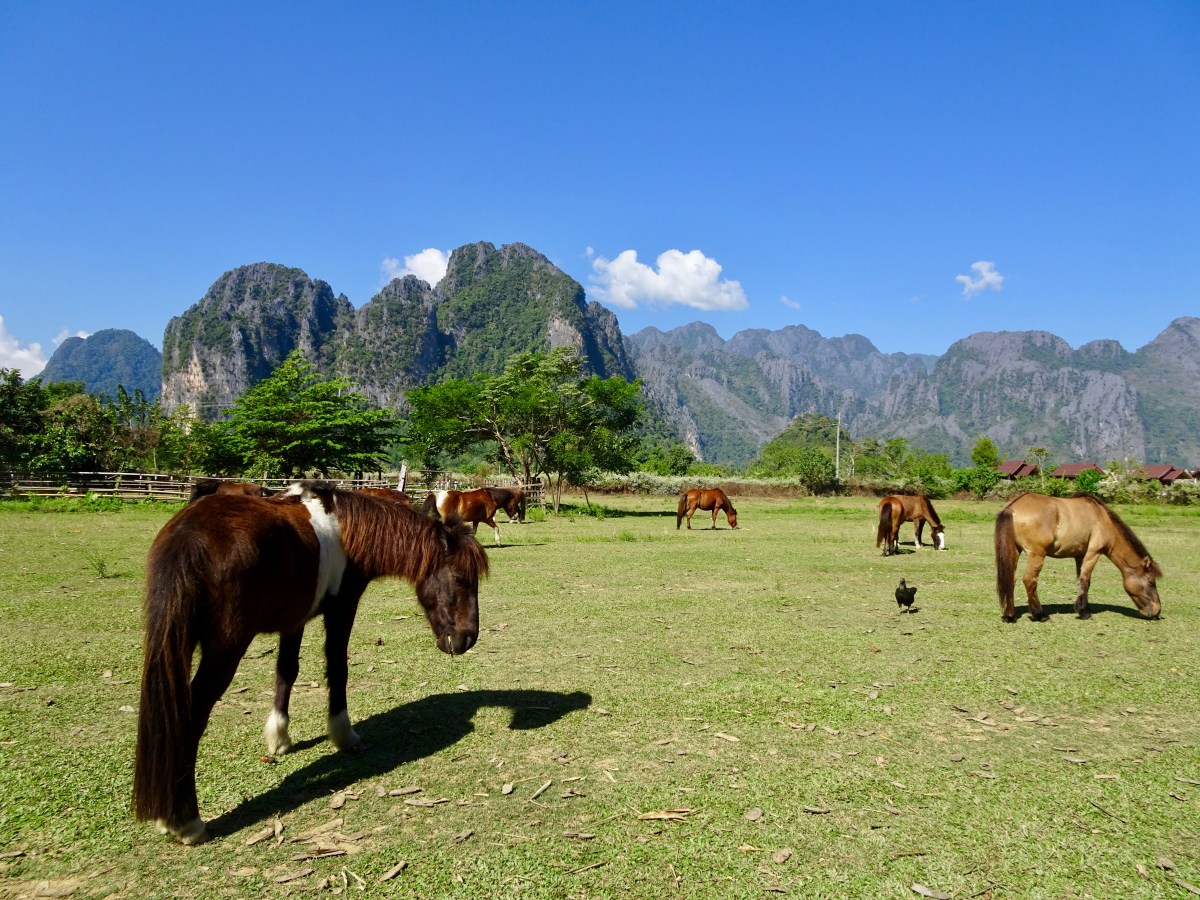 Als Volontär auf einer Farm in&nbsp;Laos