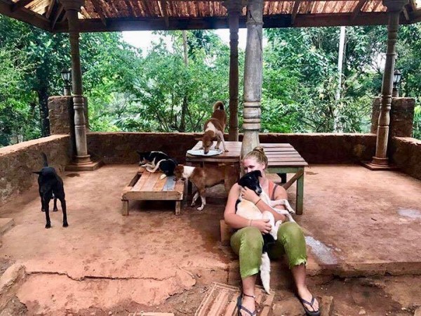 Als Volontär im sri-lankischen Tierheim Tikiri&nbsp;Trust