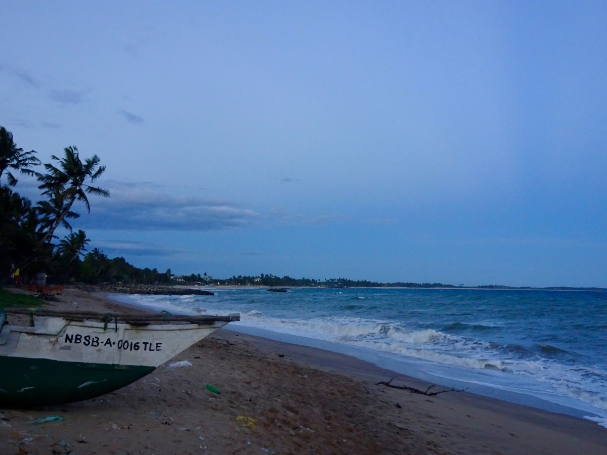Die Meeresschildkröten von&nbsp;Tangalle