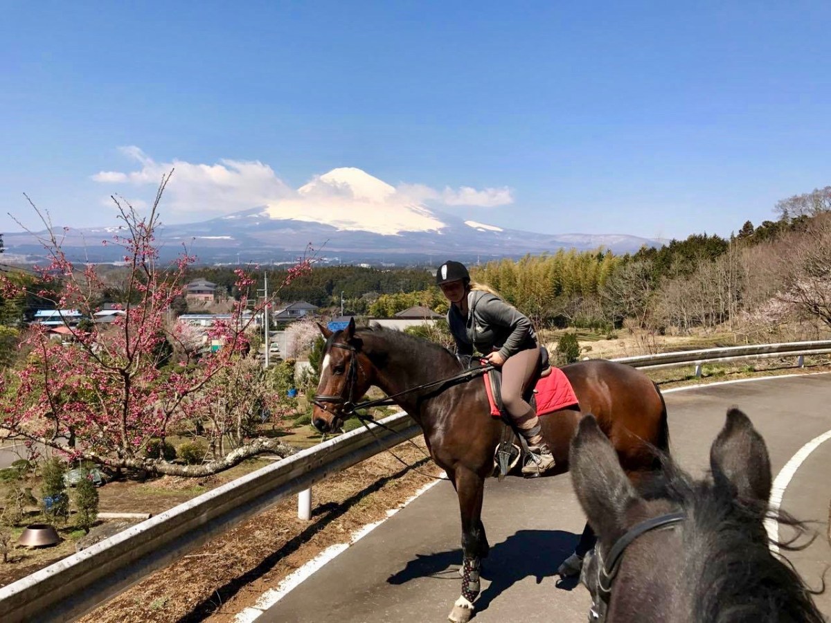 Als Volontär im japanischen Okamoto Riding&nbsp;Club