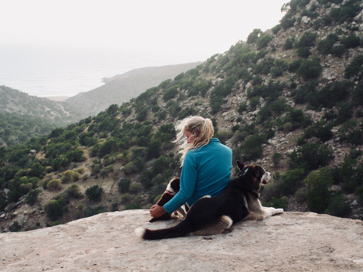 Mit Hund nach Marokko&nbsp;reisen