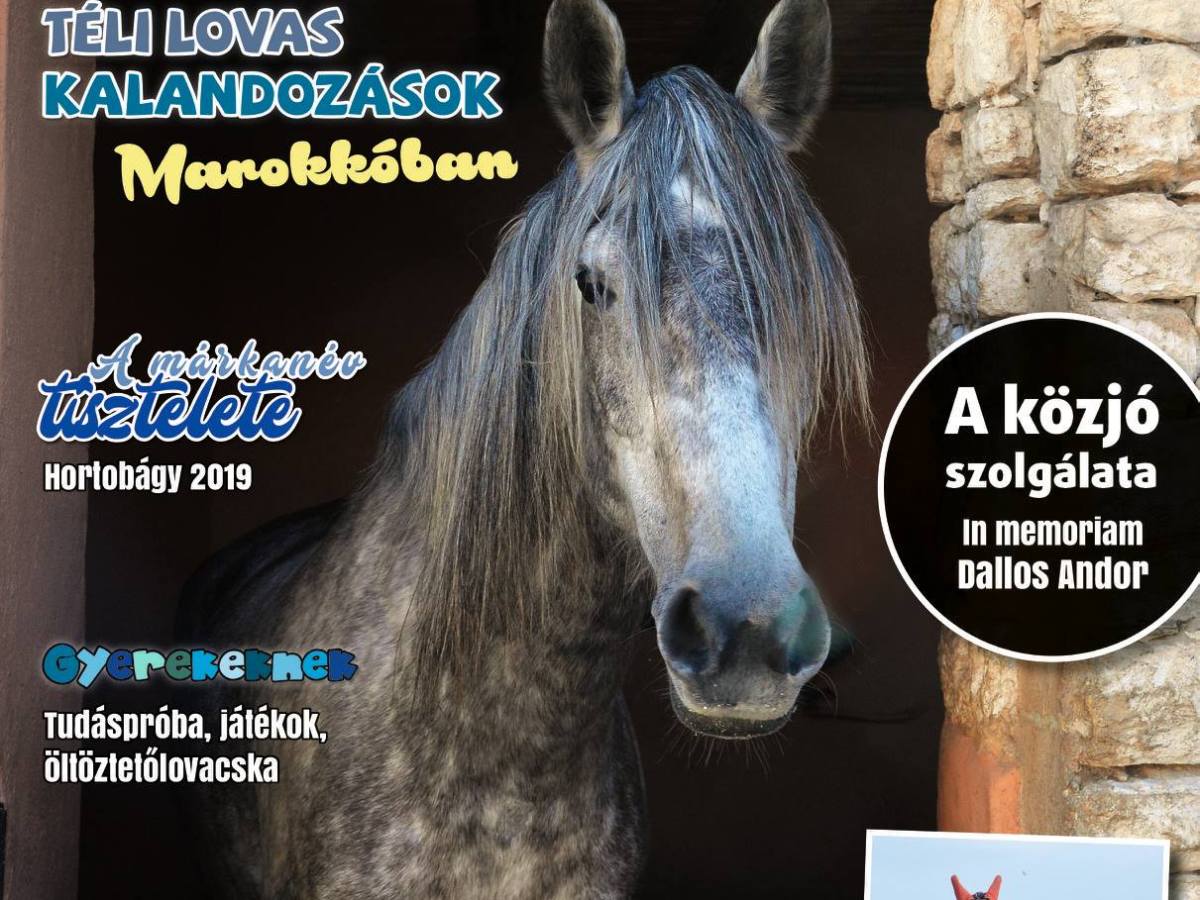 Coverstory in einem ungarischem&nbsp;Reitermagazin