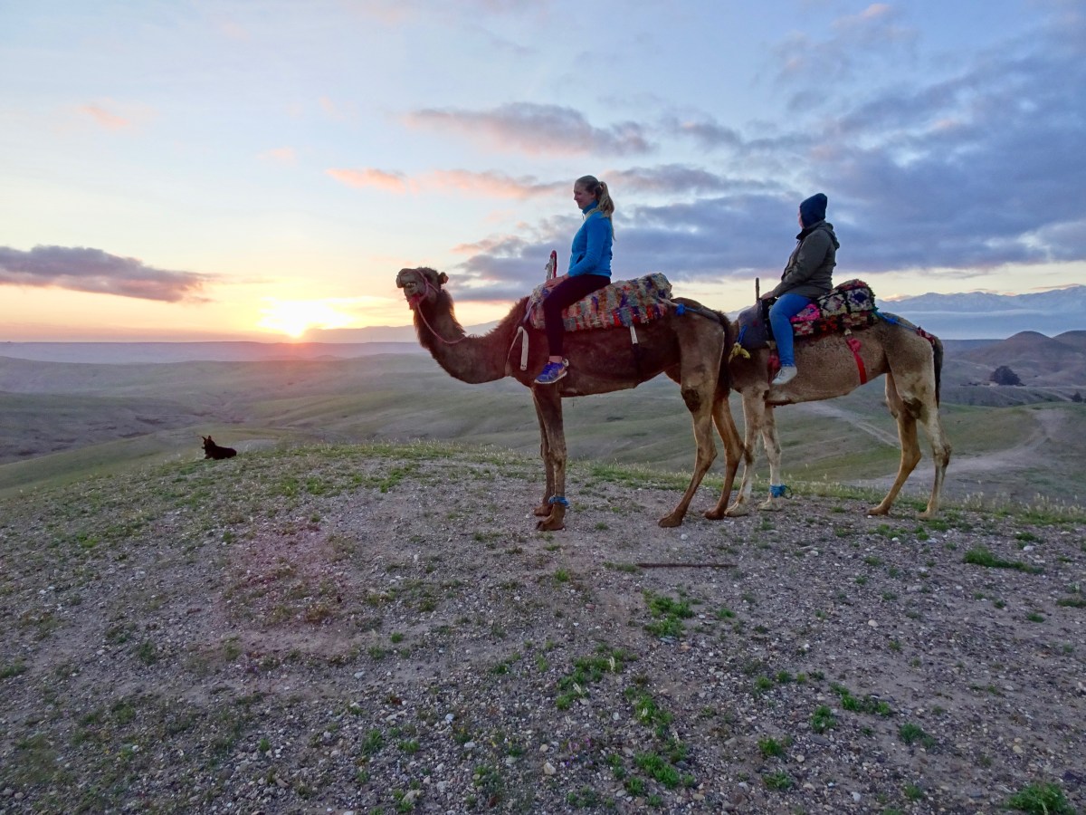 Geburtstag in der&nbsp;Agafay-Wüste