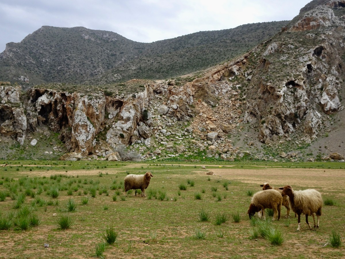 Roadtrip durch den Al Hoceima&nbsp;Nationalpark