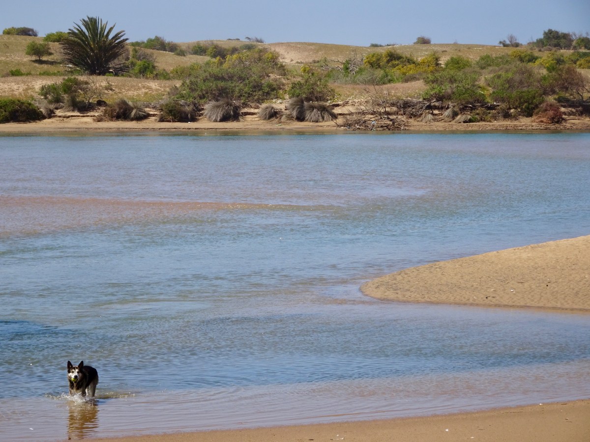 Von Agadir zum Souss-Massa Nationalpark und dem Legzira&nbsp;Beach