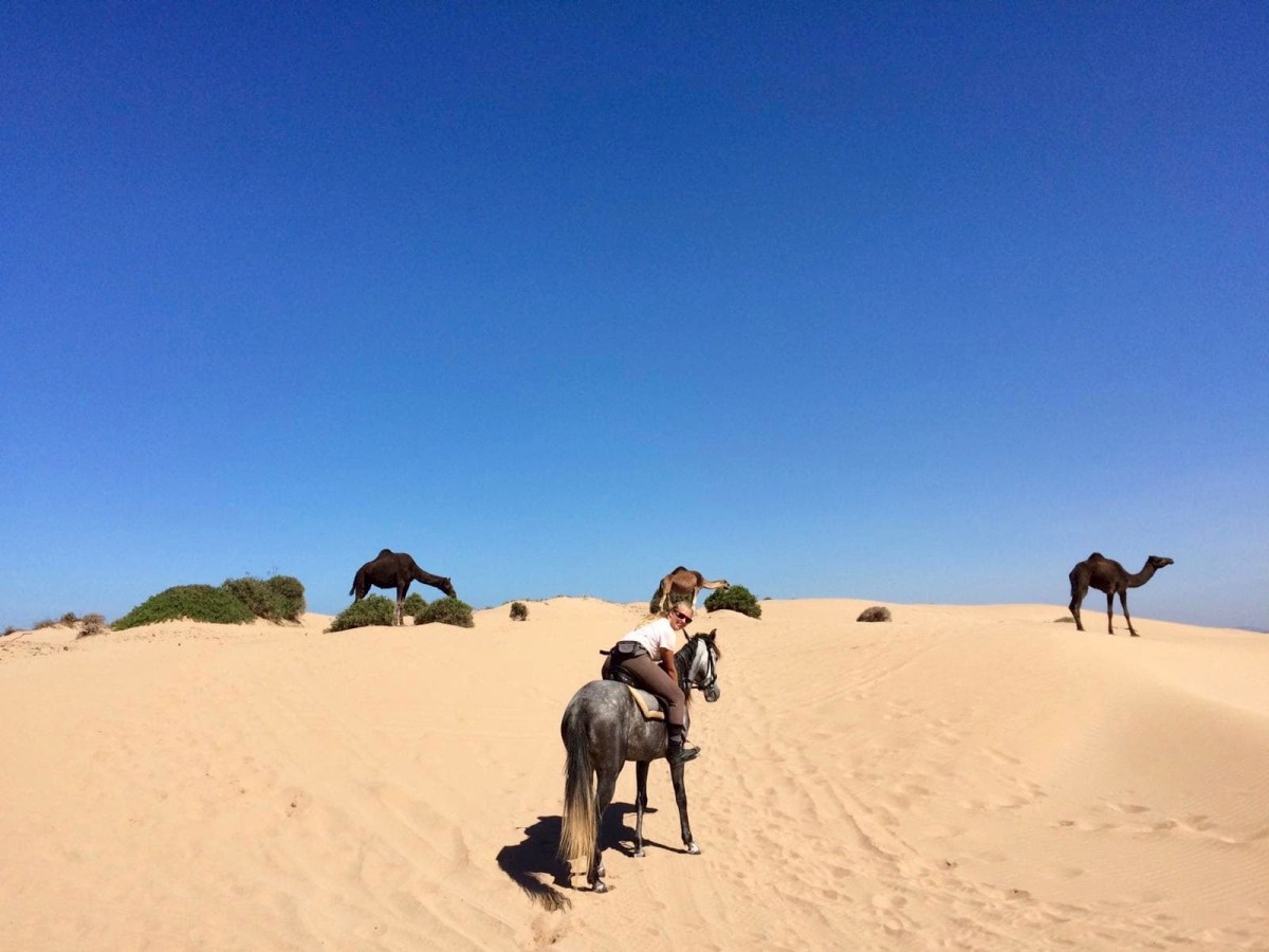 Arbeiten auf der marokkanischen Ranch de&nbsp;Diabat