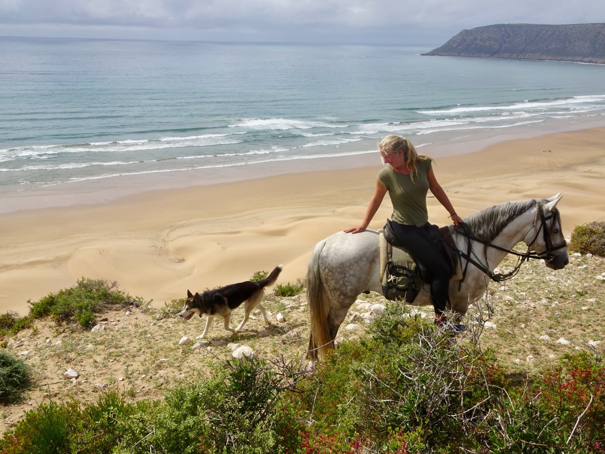 Nach Marokko mit Hund und&nbsp;VW-Bus