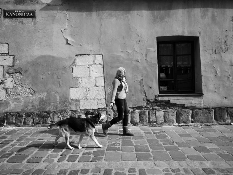 Nach Kaliningrad mit Hund und&nbsp;Wohnmobil