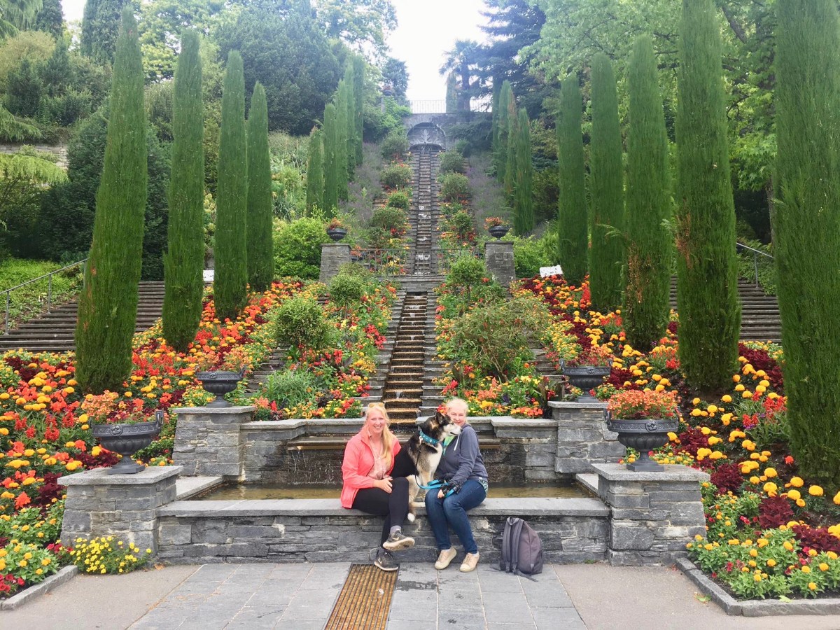 Deutschland 🇩🇪