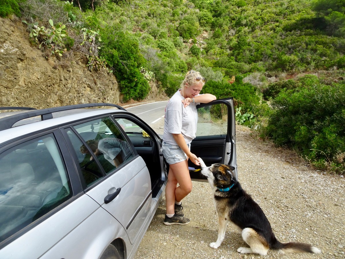 Elba Roadtrip mit&nbsp;Hund