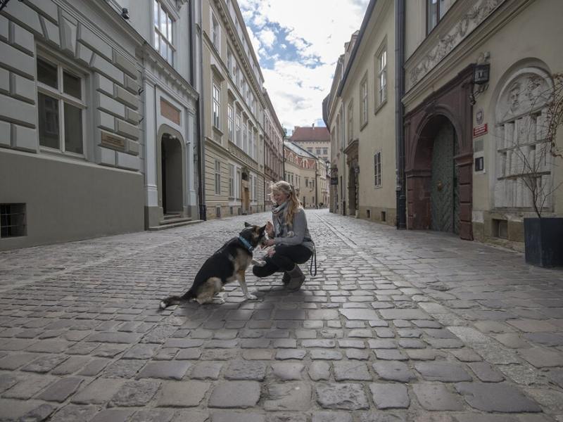 Polen Roadtrip mit Hund und&nbsp;VW-Bus
