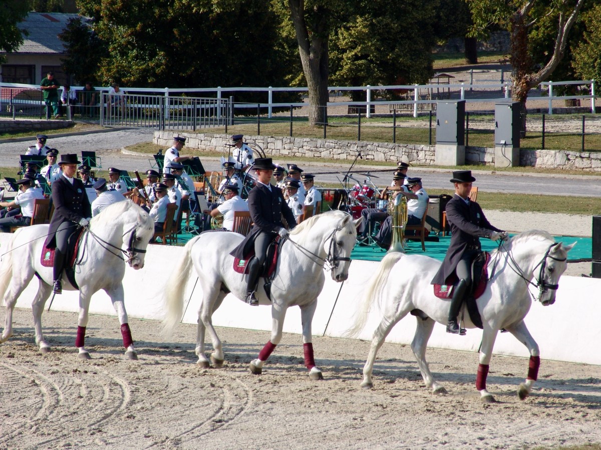 Zentralslowenien Highlights: Lipica, Die Höhlenburg Predjama und Die Karsthöhlen von&nbsp;Postojna