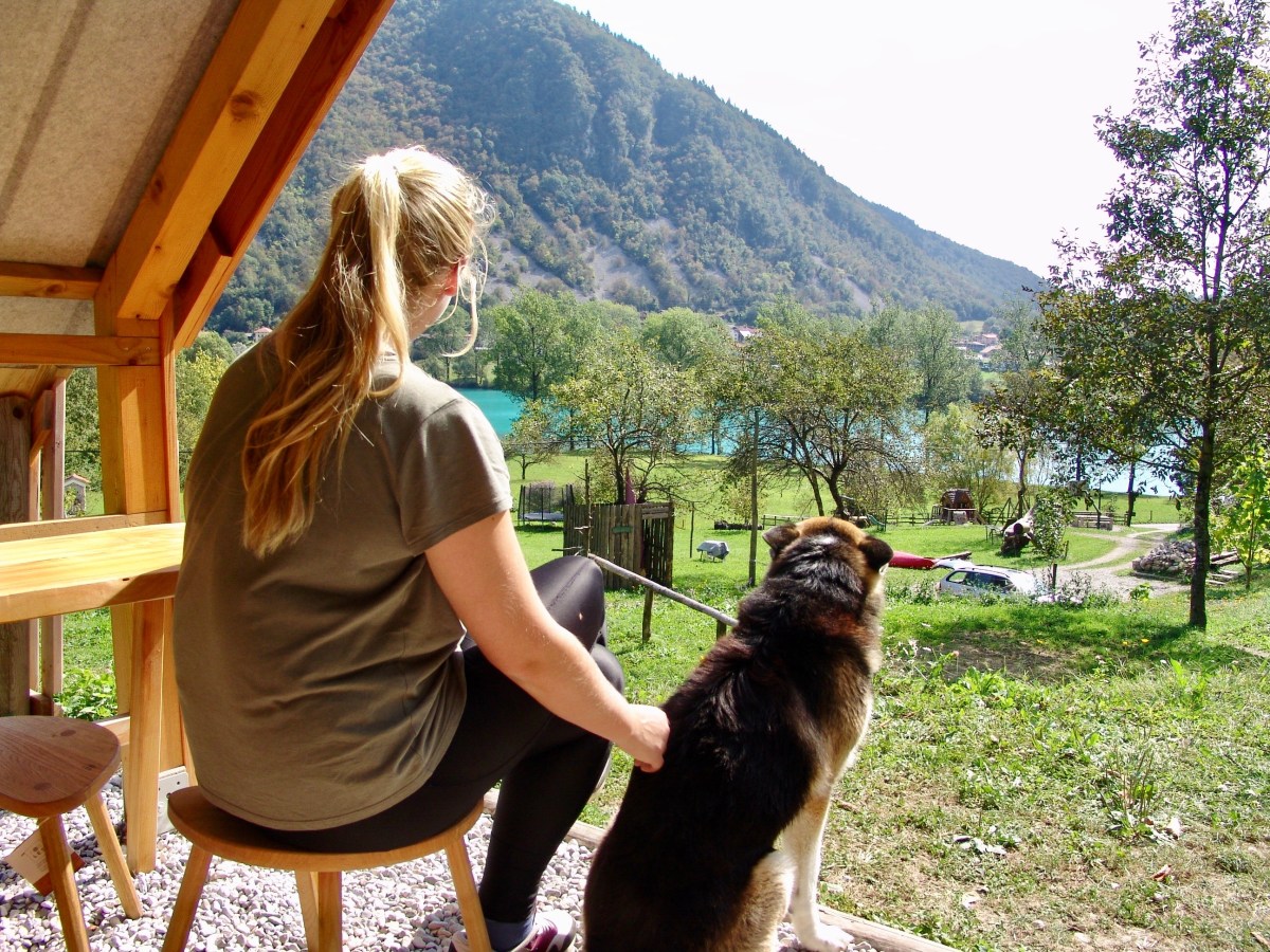Reise mit Hund nach&nbsp;Slowenien