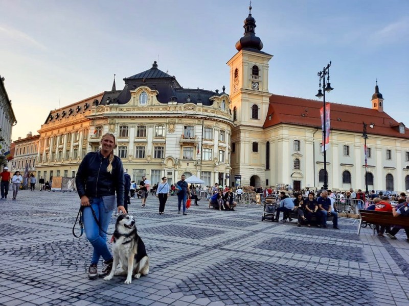 Zu Besuch in Transsilvaniens Juwel&nbsp;Sibiu