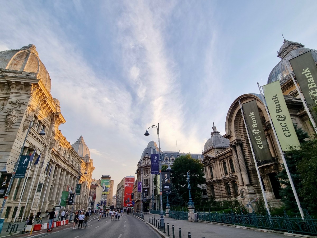 Mit Hund nach&nbsp;Bukarest