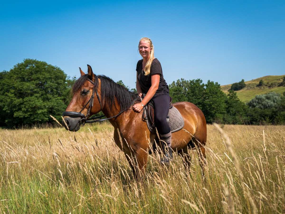 Mein Praxissemester in einem rumänischen&nbsp;Reitstall