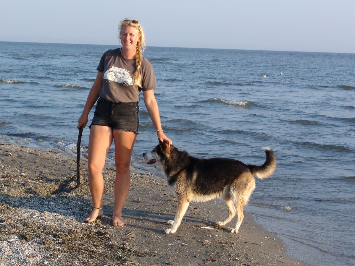 Das Donau Delta: Der Ort, an dem die Donau ins Schwarze Meer&nbsp;fließt