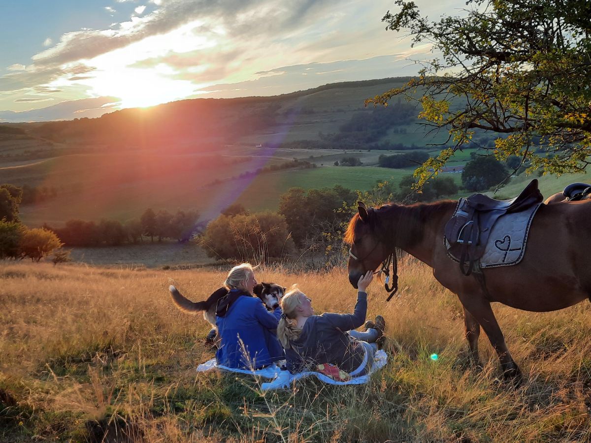 Rumänien Roadtrip mit&nbsp;Hund