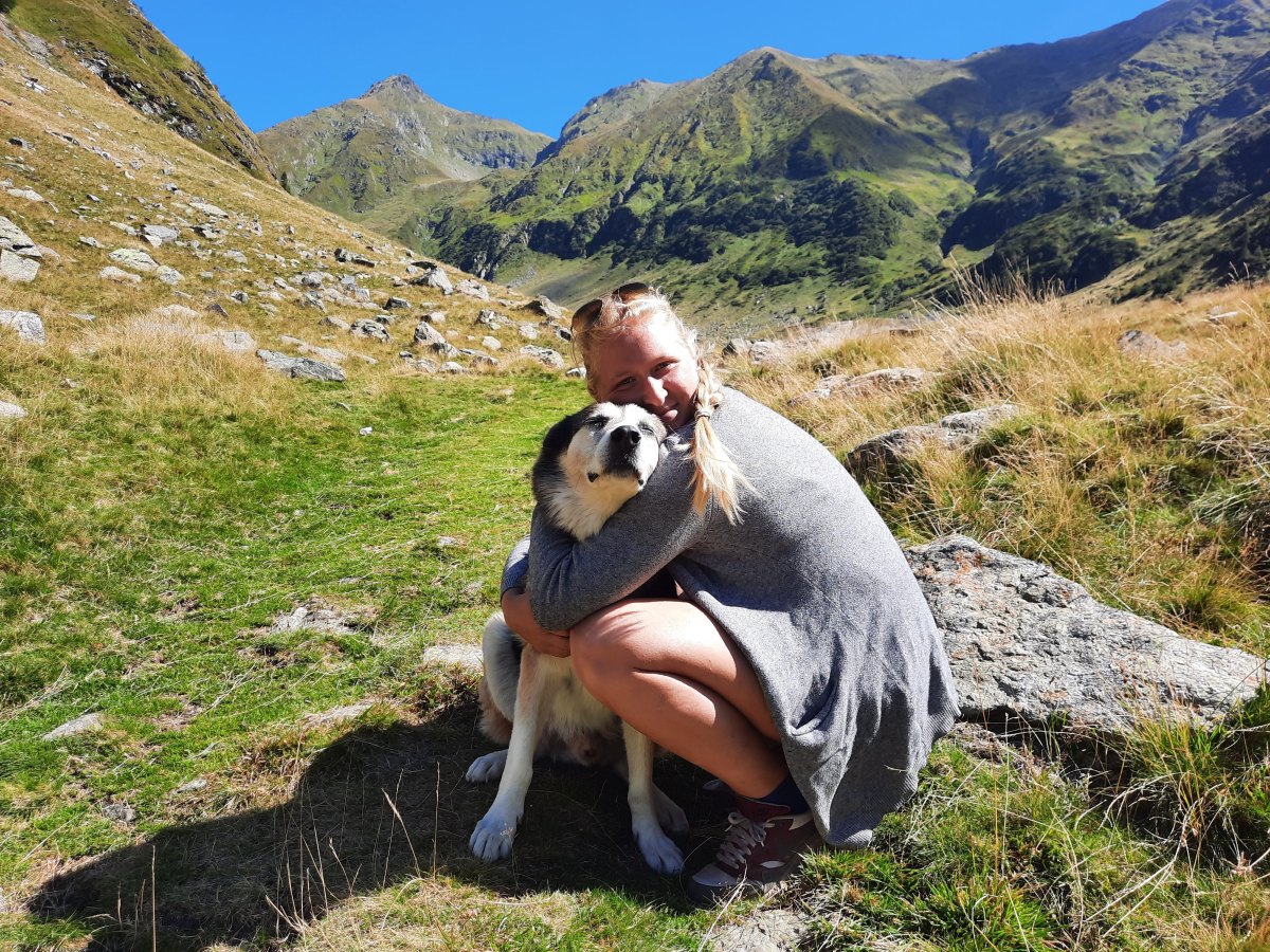 Tierschutz in Rumänien: Eine Reise durch das Land mit den meisten Straßentiere&nbsp;Europas