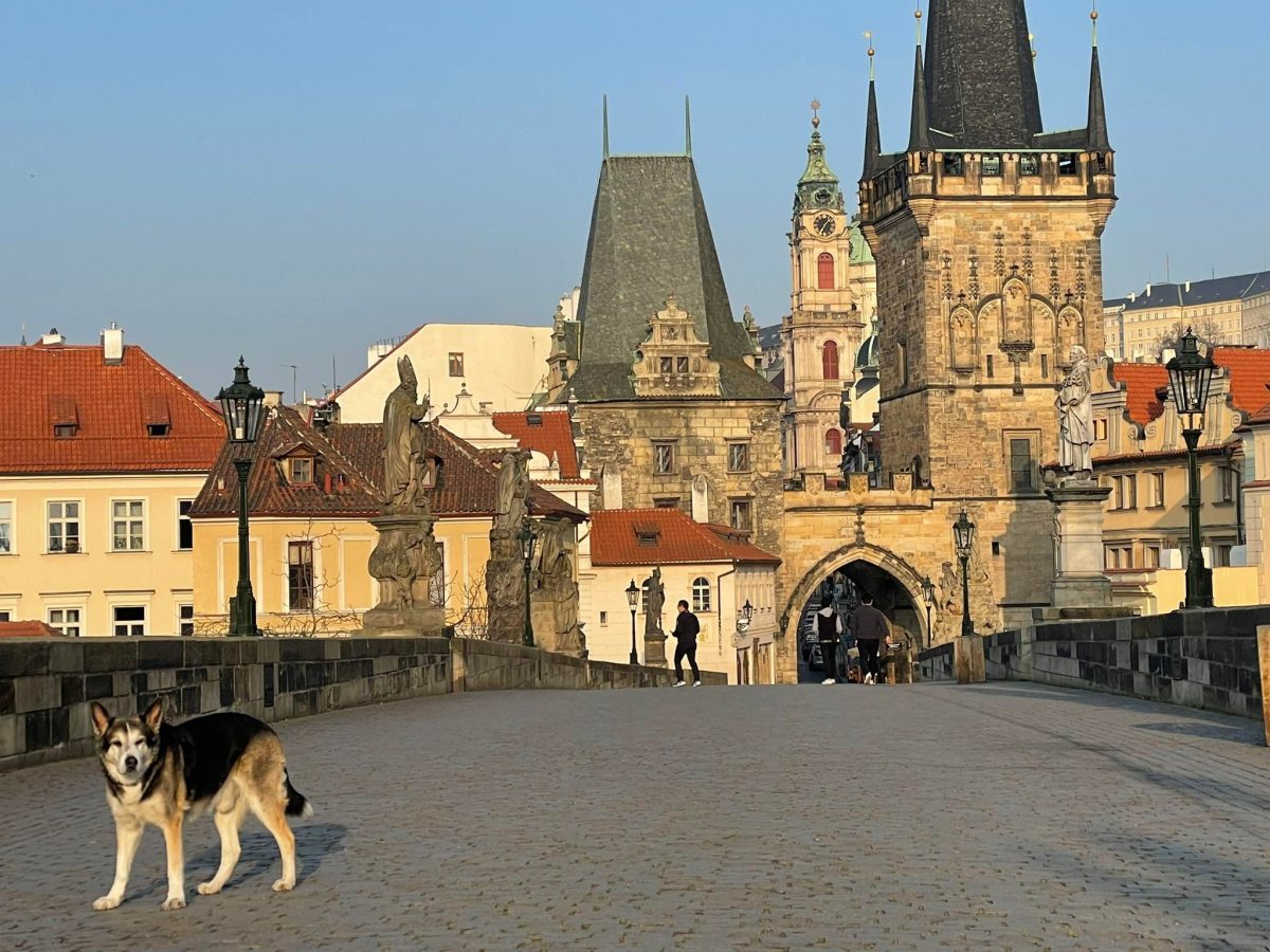 Mit Hund nach&nbsp;Prag