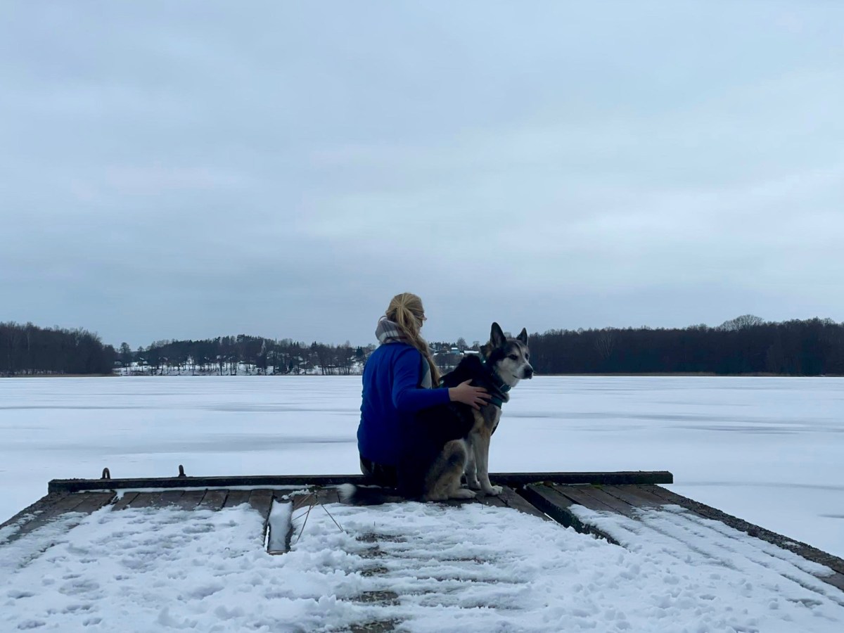 Zwischen 1.000 Seen im Aukštaitija-Nationalpark: Reise mit&nbsp;Hund