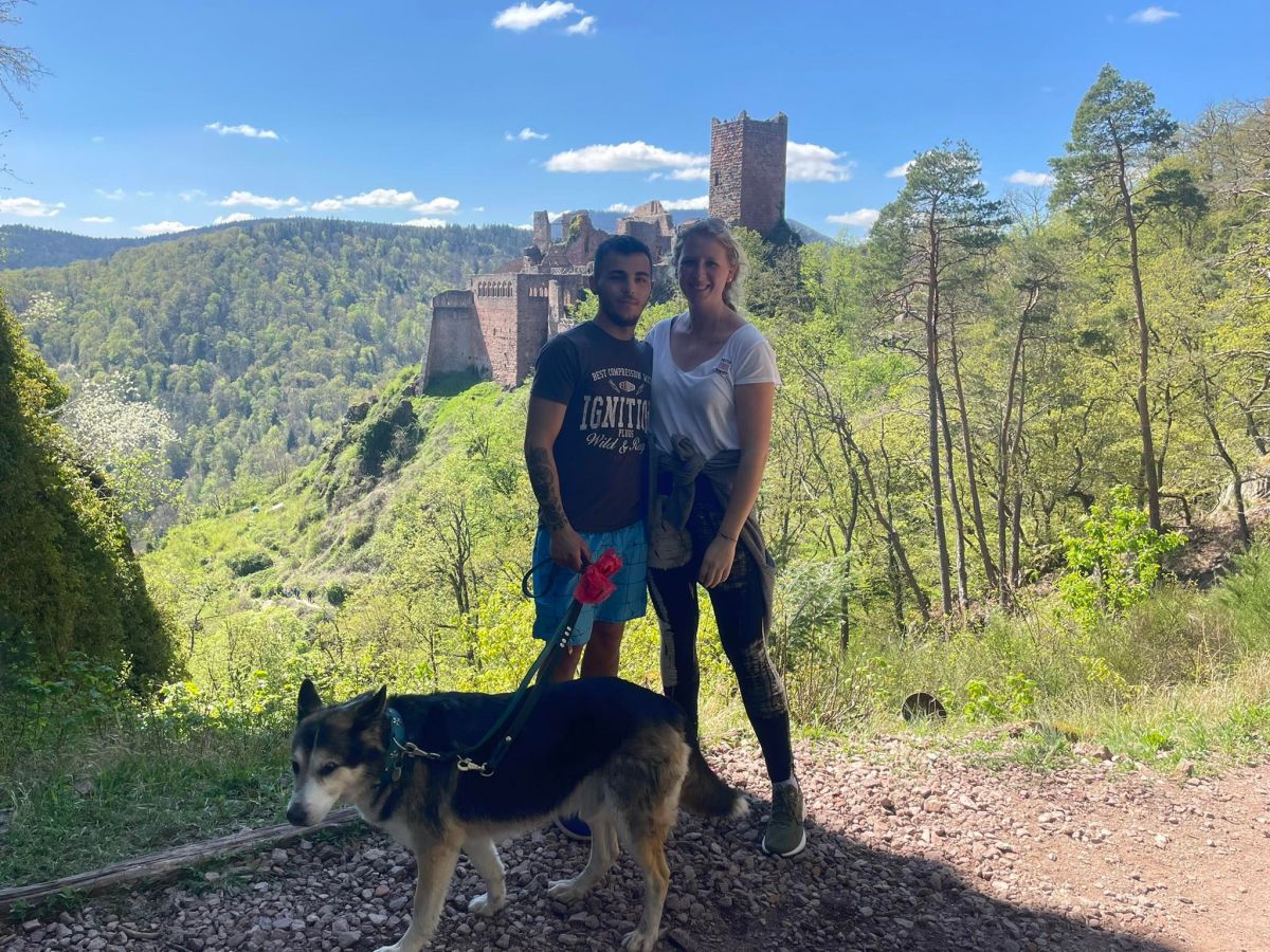 Wandern mit Hund im&nbsp;Vogesen-Gebirge