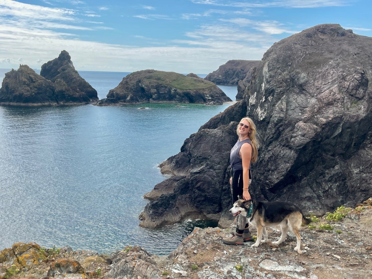 Roadtrip mit Hund durch&nbsp;Südengland