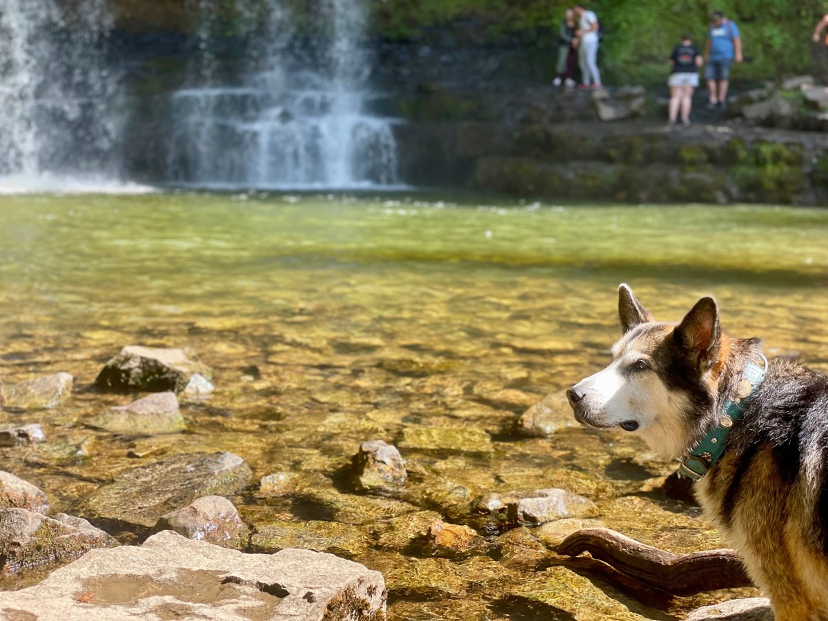 Roadtrip durch Südwales