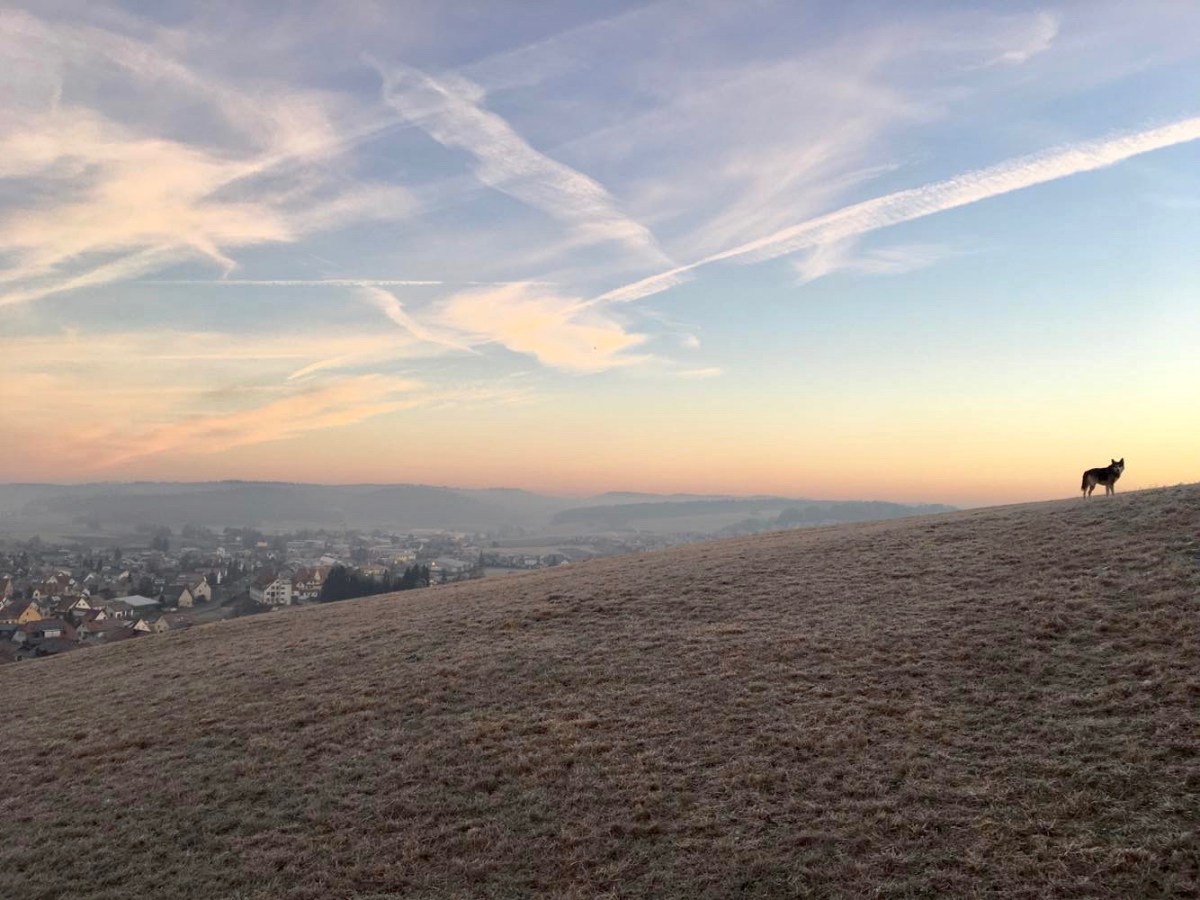 Auf Reisen durchs eigene Land: Baden-Württemberg