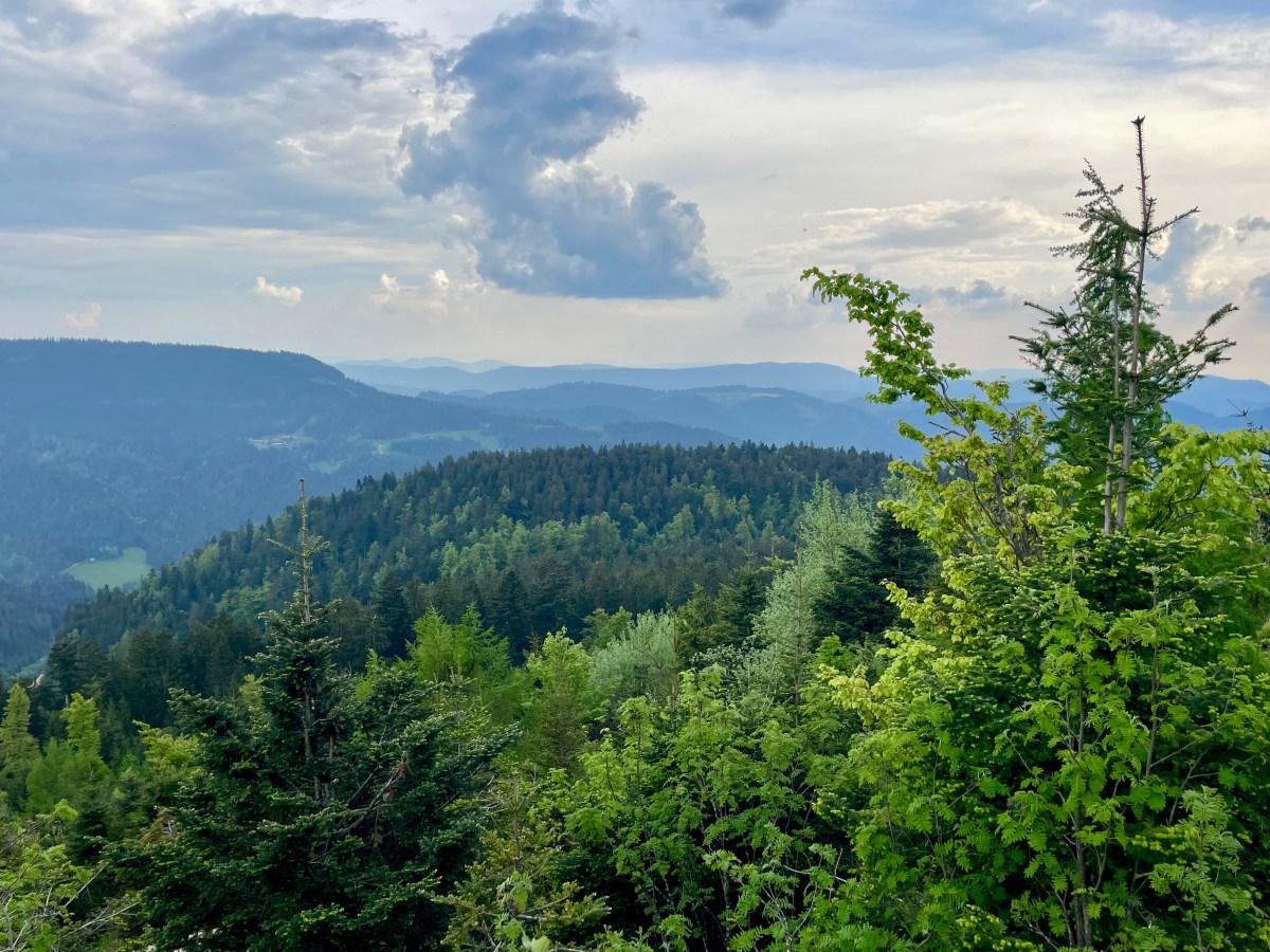 Auf Reisen durchs eigene Land: Der&nbsp;Schwarzwald