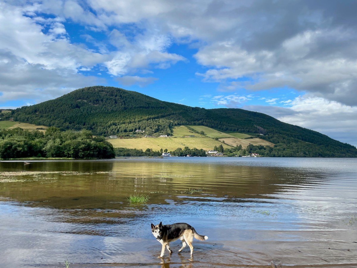 Mit Hund in die schottischen&nbsp;Highlands