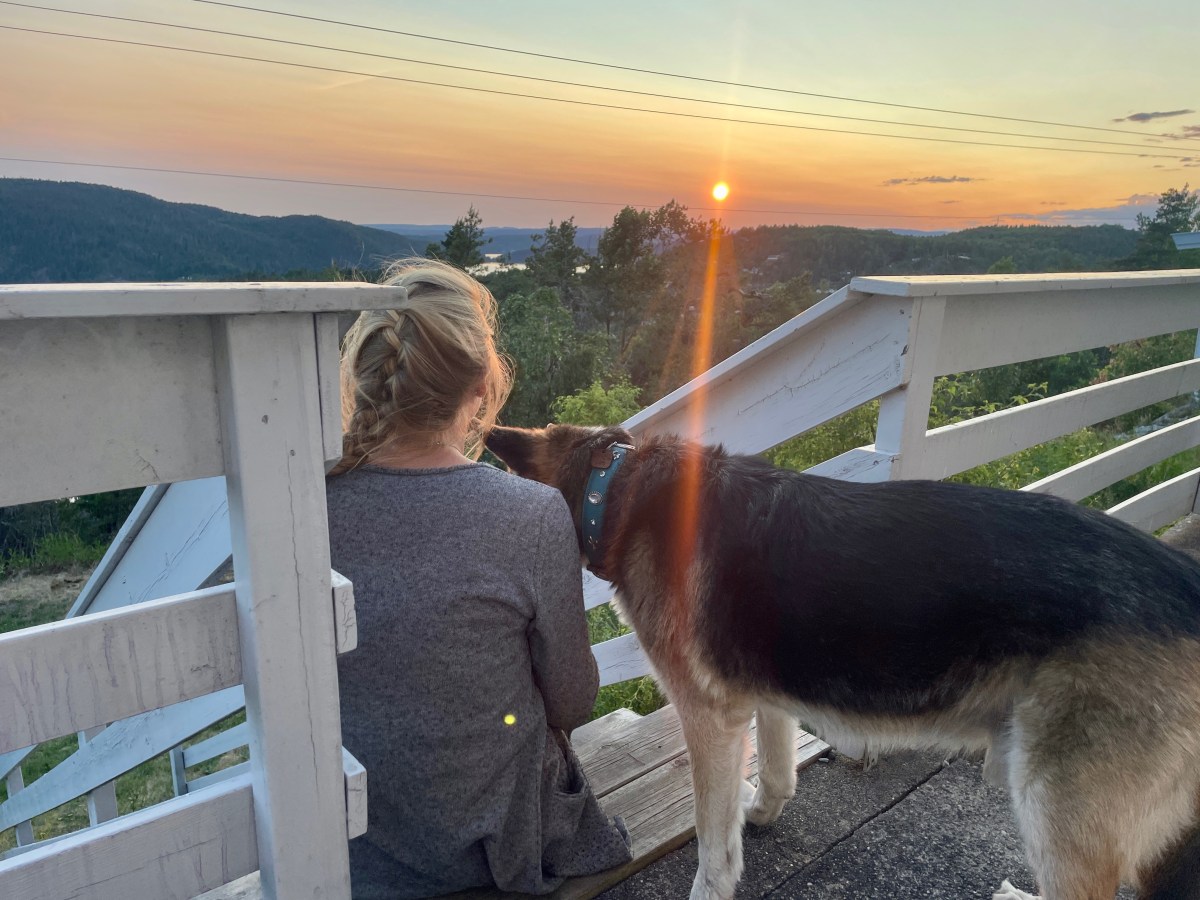 Oslo mit Hund&nbsp;bereisen