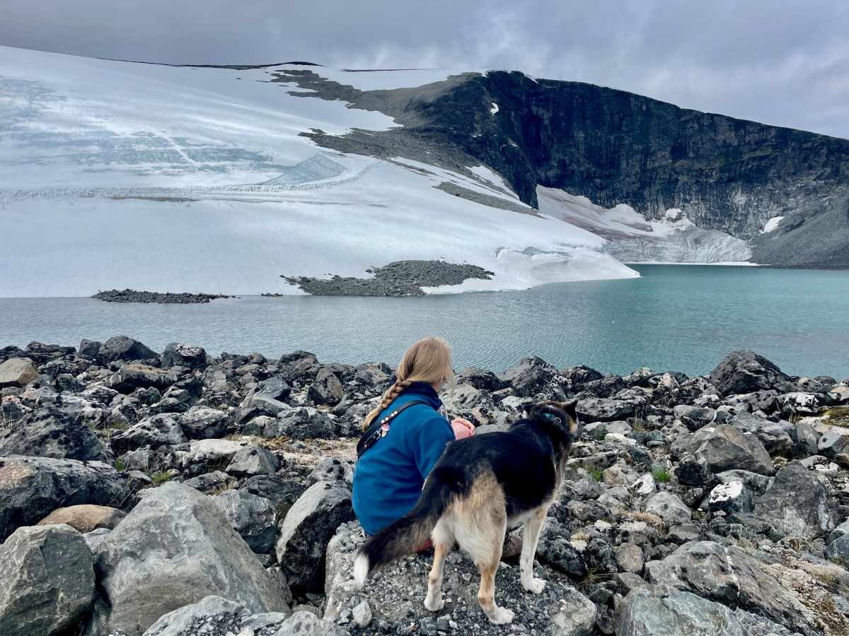 Roadtrip durch Südnorwegen Teil II: Vom Aurlandsfjord bis nach&nbsp;Trondheim