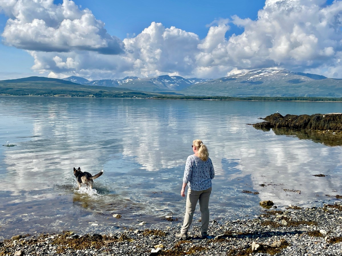 Im Sommer in die Winterdestination Tromsø&nbsp;reisen