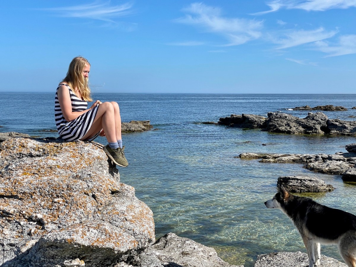 Gotland-Roadtrip: Wildcamping mit Hund auf der schwedischen&nbsp;Sonneninsel