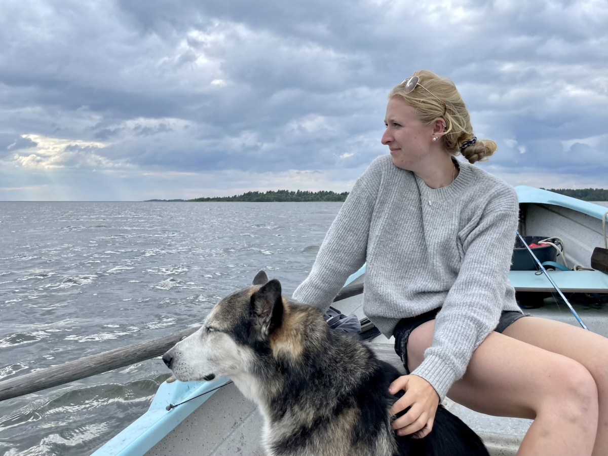 Roadtrip quer durch Schweden: Mit Hund von Lappland bis zur&nbsp;Øresundbrücke