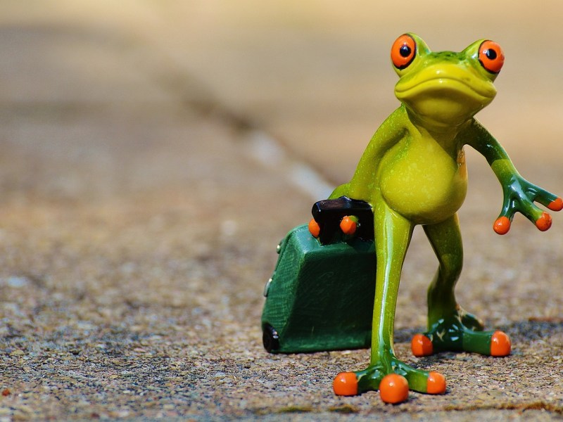 Zurück von der Reise: Wie du die Post-Travel-Blues vermeidest & die Rückkehr am besten&nbsp;meisterst