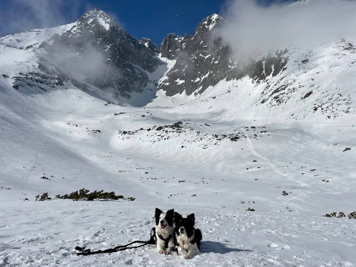 Reise ins slowakische Tatra-Gebirge: Roadtrip mit 2 Hunden quer durch die Hohe, Niedere und Westliche&nbsp;Tatra