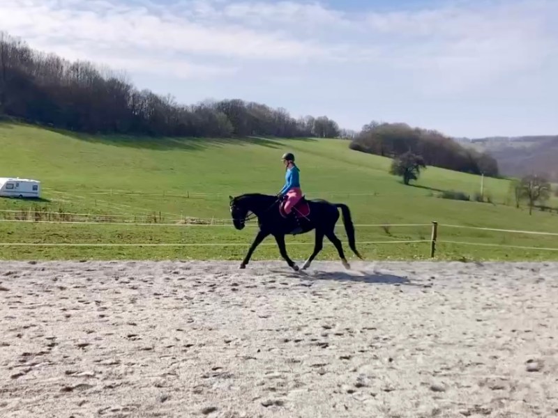 Studieren in der Slowakei: Mein Auslandssemester in Banská&nbsp;Bystrica