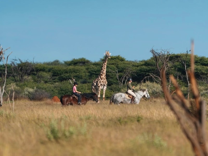 Als Voluntärin im Kambaku Wildlife Reserve in&nbsp;Namibia