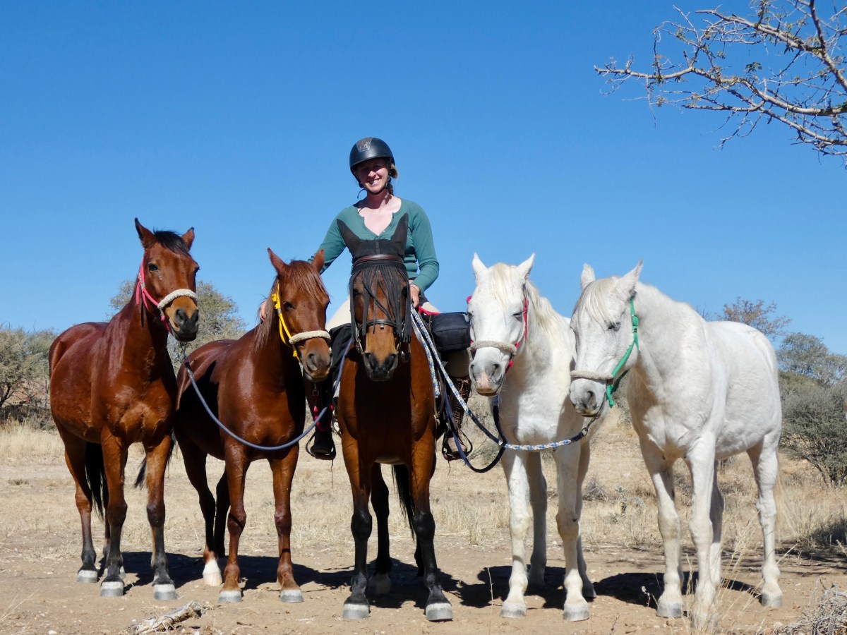 Als Voluntärin auf der Düsternbrook Guestfarm in&nbsp;Namibia