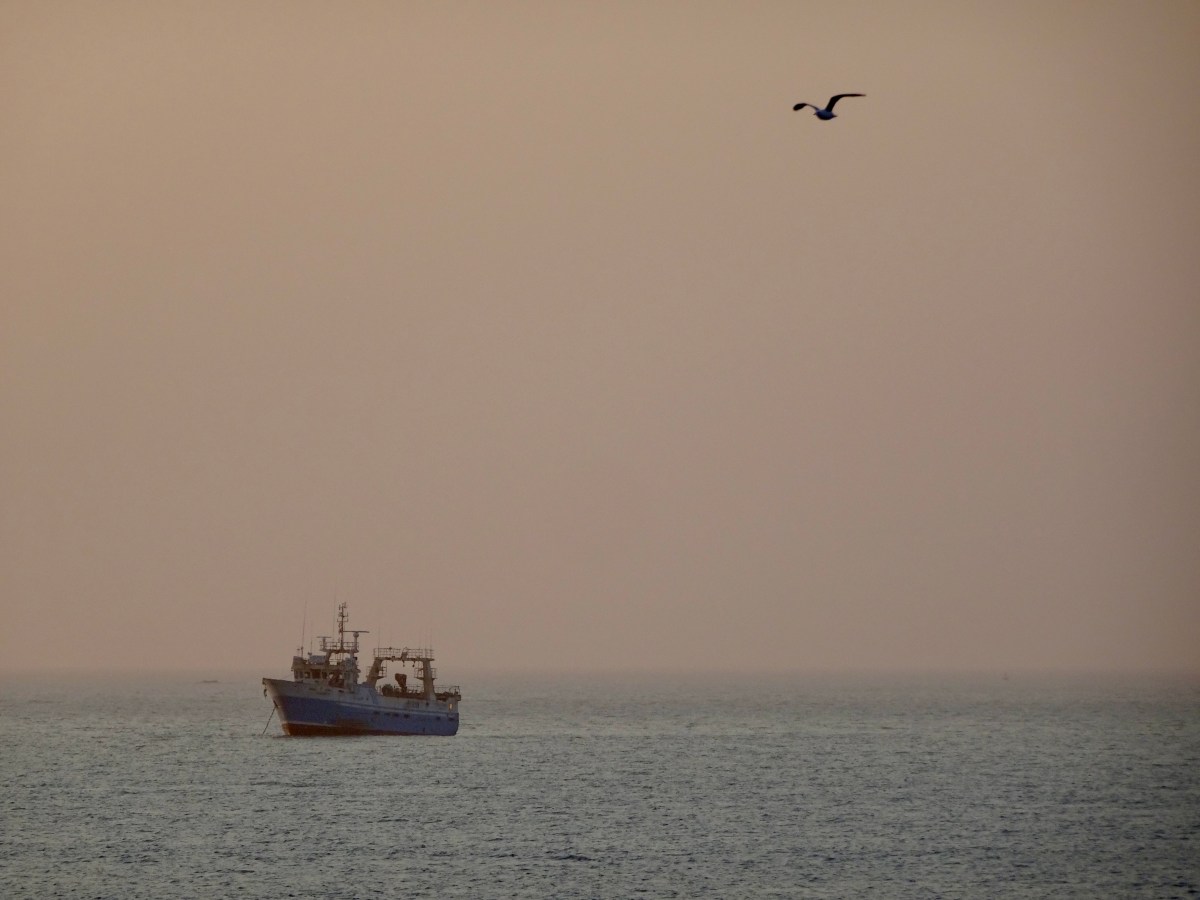 Lüderitz-Städtetrip: Zwischen Pinguinen & deutscher Kolonialgeschichte